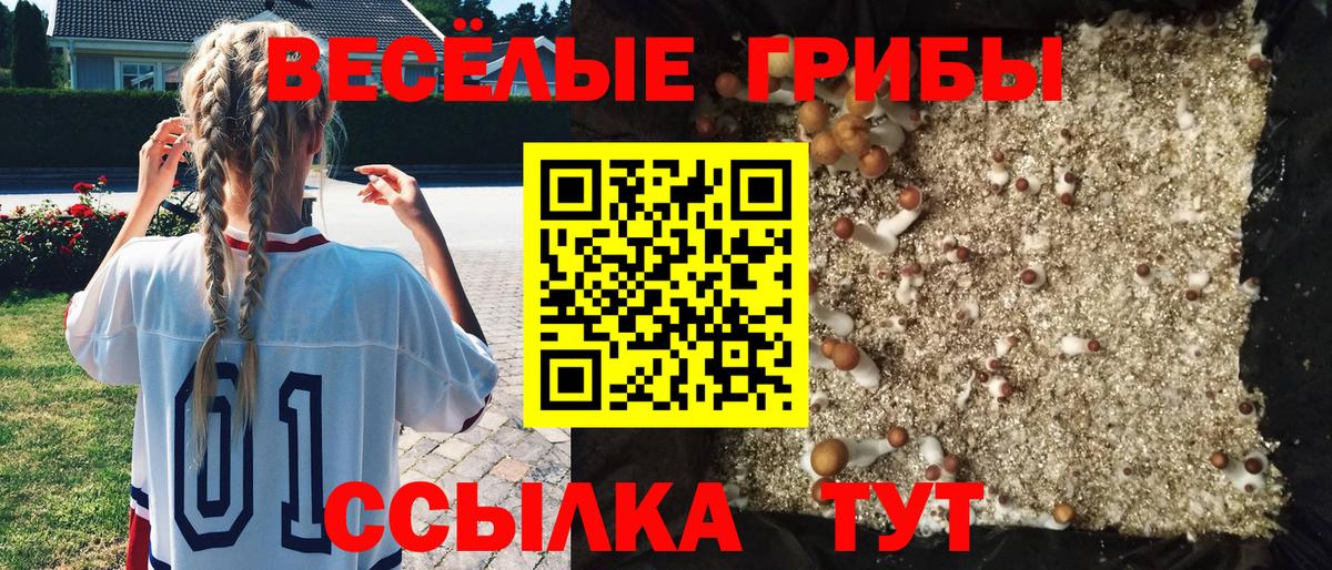 Соликамск  Галлюциногенные грибы MAGIC MUSHROOMS  Вход с VPN 