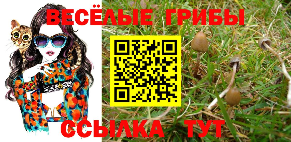 Галлюциногенные грибы мицелий Соликамск